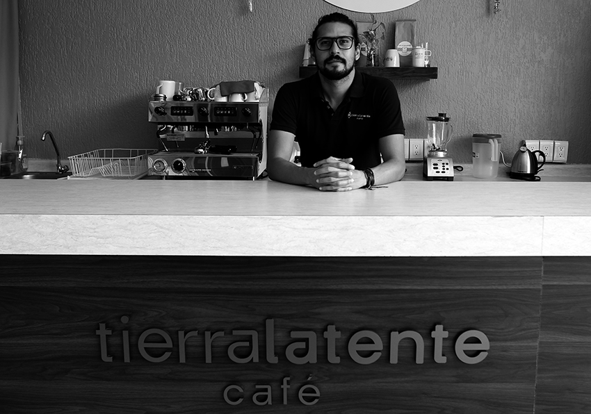 Tierra Latente Cafetería la nueva forma de tomar café en León - CRONICA  GUANAJUATO